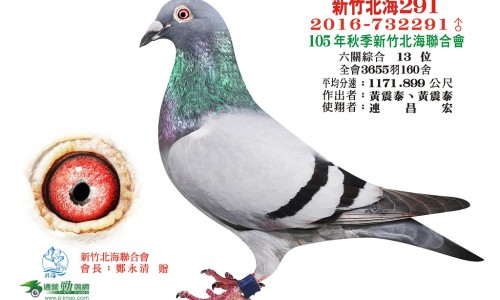 汤臣倍健牛初乳加钙咀嚼片怎么样-汤臣倍健钙铁锌咀嚼片价格网 | 汤臣倍健牛初乳加钙咀嚼片能长高吗,汤臣倍健牛初乳加钙咀嚼片怎么样